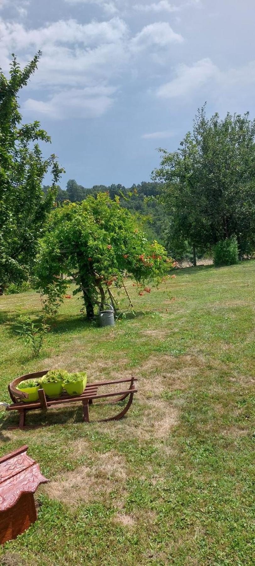 Savinacki Kutak Daire Takovo Dış mekan fotoğraf